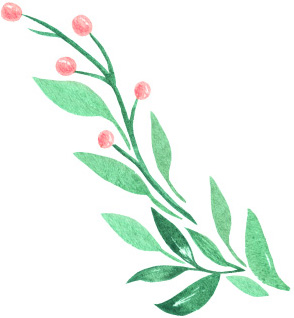 エステティック