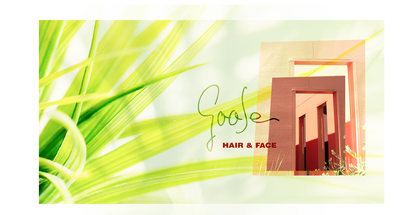 メインイメージ