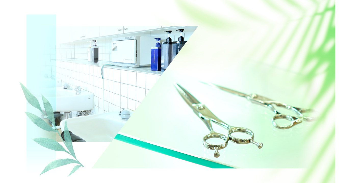 メインイメージ