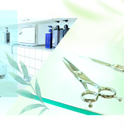 メインイメージ