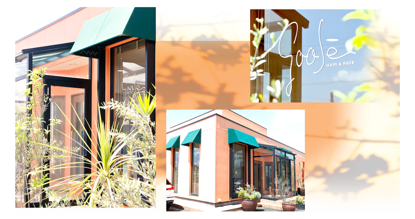 メインイメージ