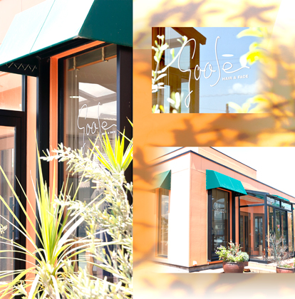 メインイメージ