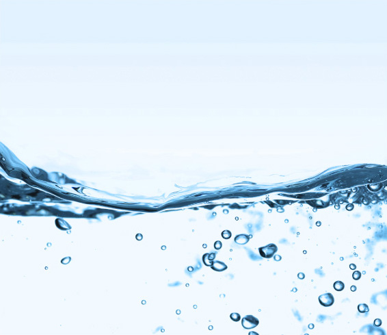 美肌活性進化論